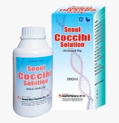 Seoul Coccihi Solution