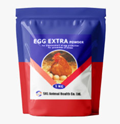 EGG EXTRA