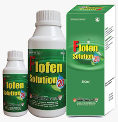Flofen Solution 20