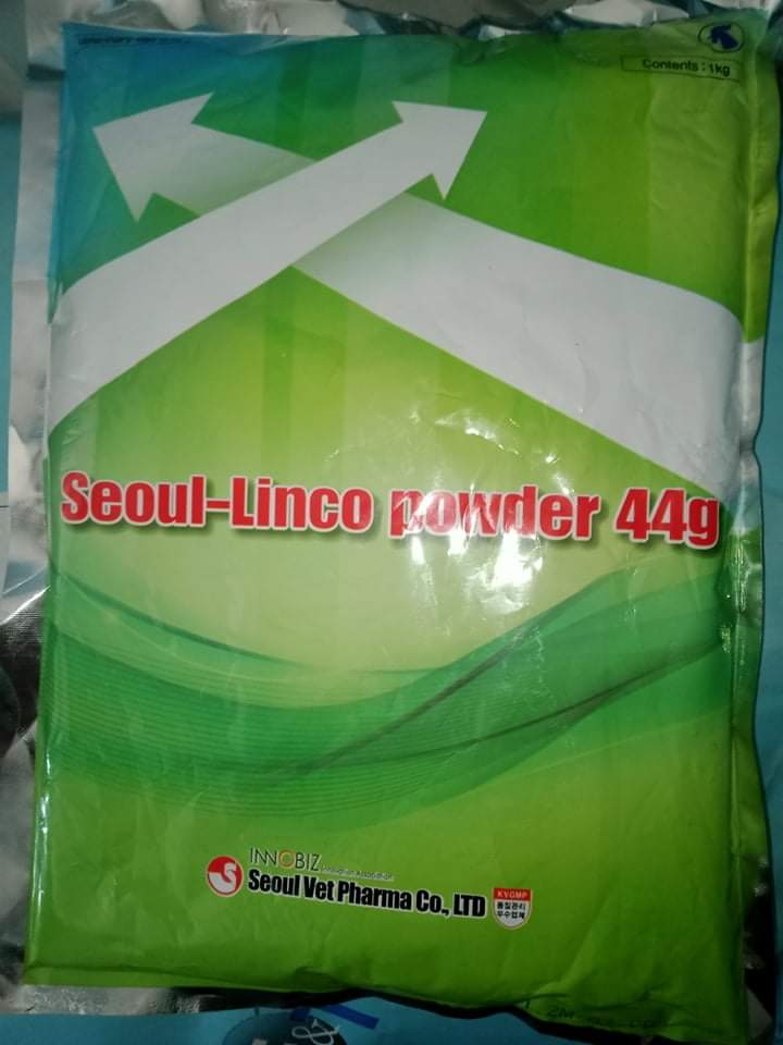 Seoul Linco Powder 44g