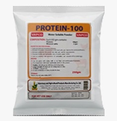 Protein -100