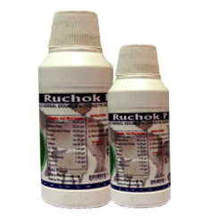 Ruchok P