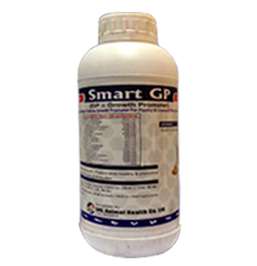Smart GP