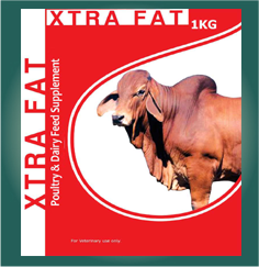 Xtra Fat