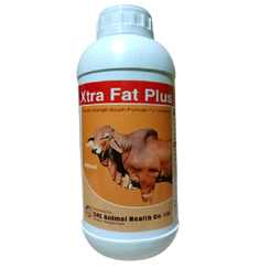 Xtra Fat Plus