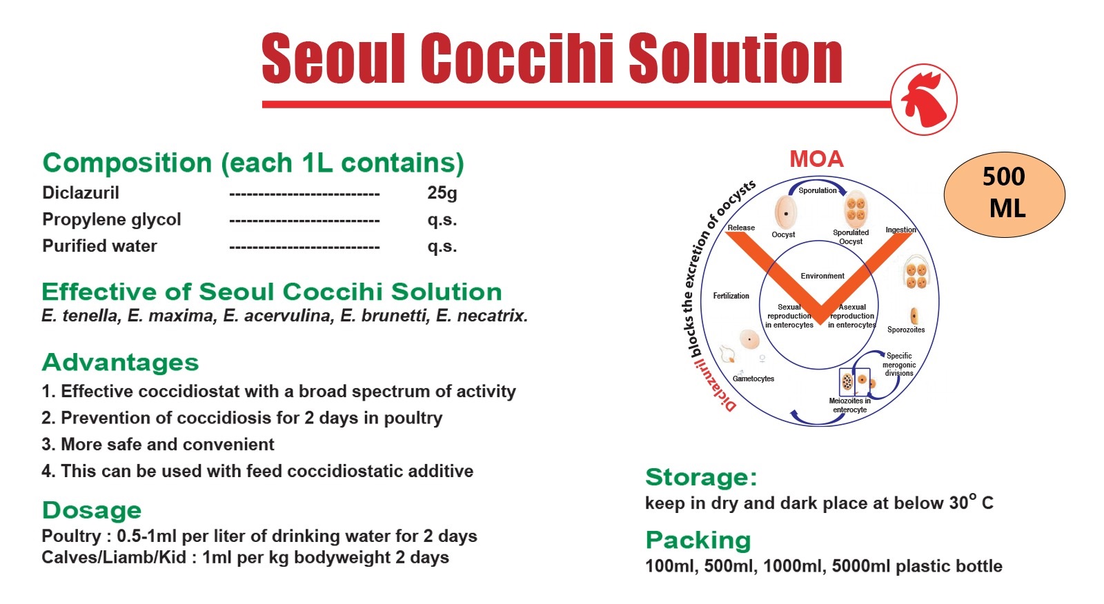Seoul Coccihi Solution